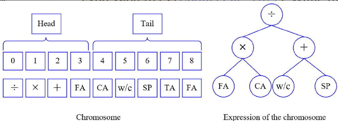 image-20251106112206708